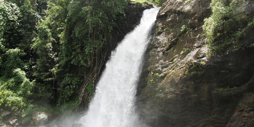 Waterfall view surrounded by lush greenery and rocks - visit near Wayanad adventure Parks
