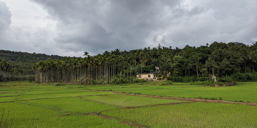 View of Wayanad with lush greenery, rolling hills, and a serene, misty landscape.