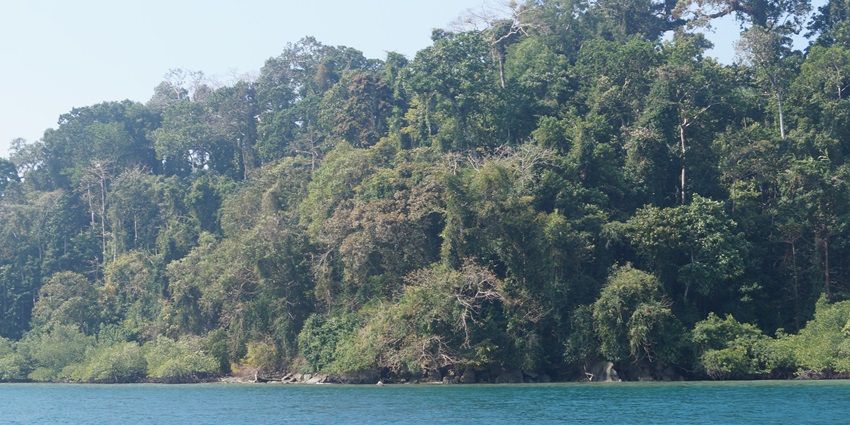 Rani Jhansi Marine National Park is made of three islands in the South of Andaman.
