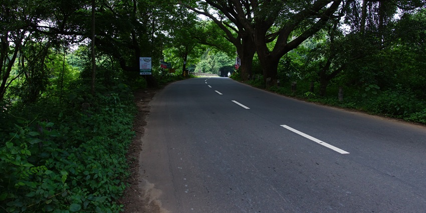 Navigate through the lush plantations of Nilambur near the attraction located in Kerala.