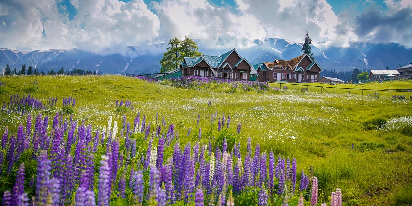 Gulmarg is one of the best hill stations in India to enjoy natural beauty and adventure.