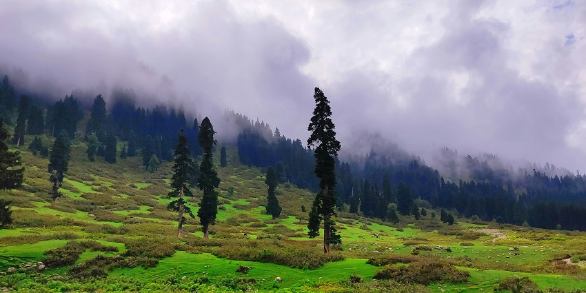 Stroll through the lush meadows of Doodhpathri for an experience like never before.