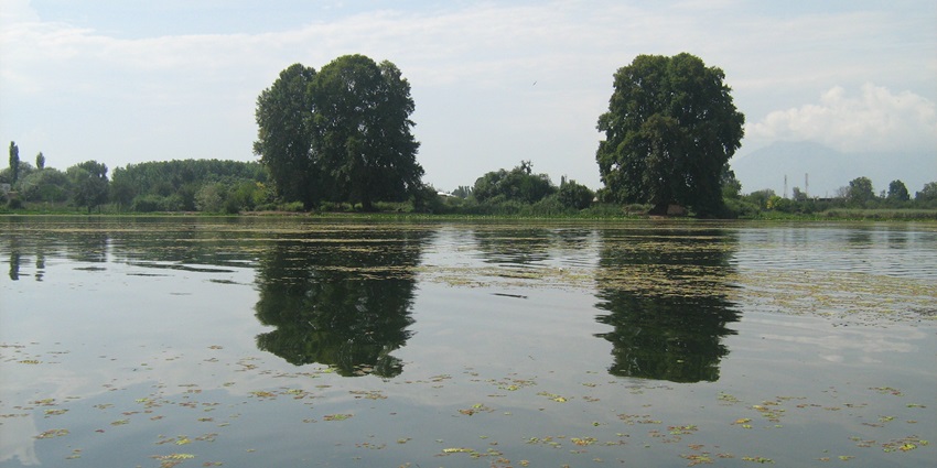 View of Nigeen lake, one of the best places to visit in Srinagar in December