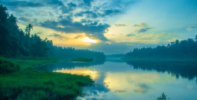 Places To Visit In Chalakudy For A Rejuvenating Retreat - TripXL