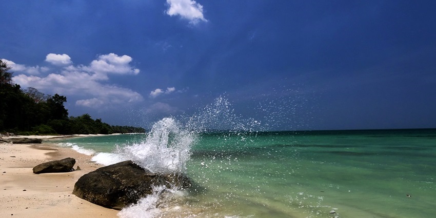 Tall coconut trees and gentle waves grace the scenic Vijaynagar Beach shoreline.