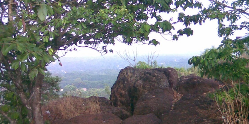 Vilangan Kunnu has several medicinal plants and trekking spots that are ideal for travellers
