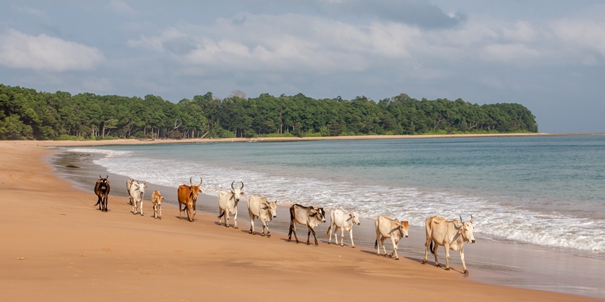 Experience local culture and traditions in Hut Bay’s rustic villages on your trip.