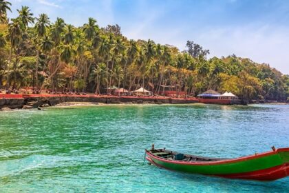 A seaport on the Viper Island with dense and tall trees lining it on a sunny day.