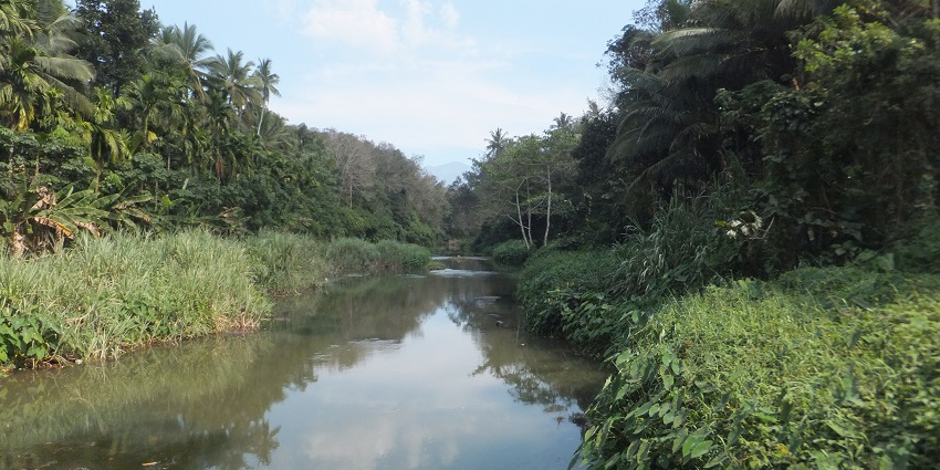 Vamanapuram river flows through Vithura - one of the best hill stations near Trivandrum