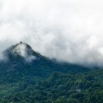 A stunning landscape of Vythiri in Wayanad covered in dense clouds during the daytime.