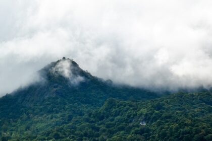 A stunning landscape of Vythiri in Wayanad covered in dense clouds during the daytime.