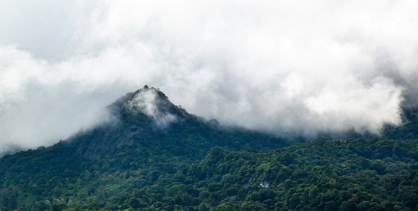 A stunning landscape of Vythiri in Wayanad covered in dense clouds during the daytime.