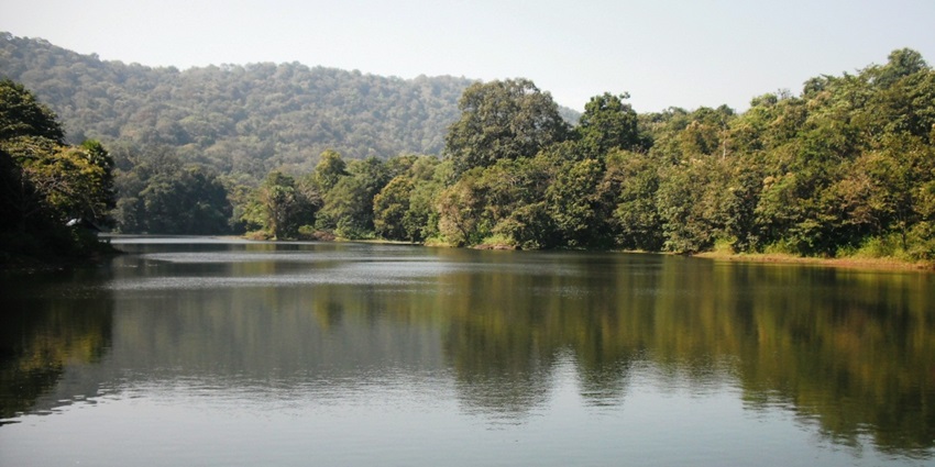 Image of Dam water made lake surrounded by lush green forest - places to visit near the temple