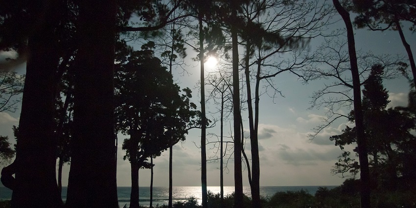 An image of the full moon night at the Havelock Island in Andaman and Nicobar Island