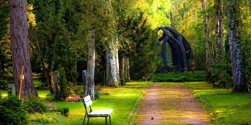 Image of a lush green park surrounded by trees and sitting area for visitors