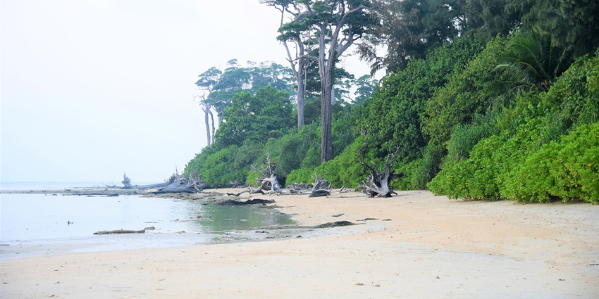 Wandoor Beach is one of the beautiful beaches in Port Blair with and pristine sands