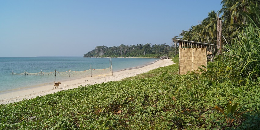 An image of Wandoor Beach offering a peaceful seaside setting surrounded by lush mangroves.