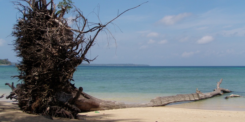 A mesmerising view of Wandoor Beach, one of the top places near Cellular Jail Museum.
