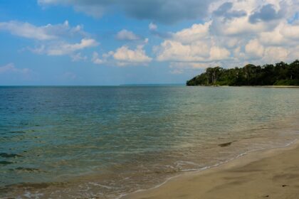 Scenic view of a beach in Andaman where you can take a stroll and enjoy serenity.