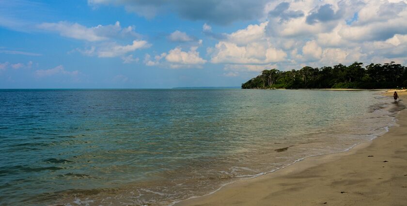 Scenic view of a beach in Andaman where you can take a stroll and enjoy serenity.