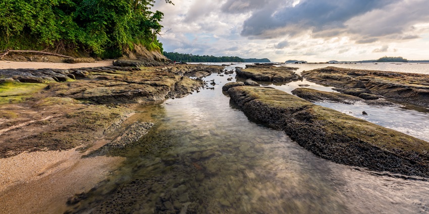 Home to diverse wildlife, Wandoor Beach is a must-visit place for wildlife enthusiasts.