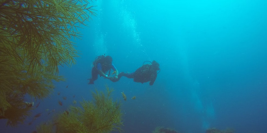 The view of tourist snorkelling - one of the best water sports in Andaman Islands