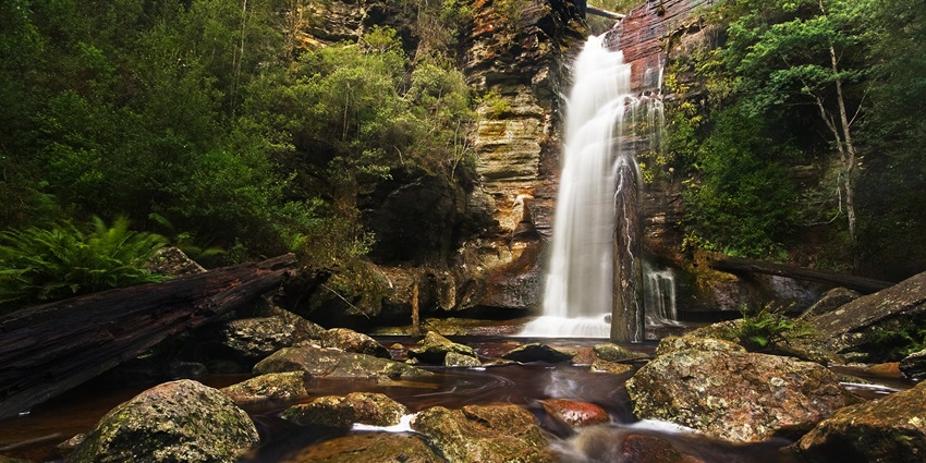 Scenic soothing view of Waterfall surrounded by the dense forest and beautiful flora