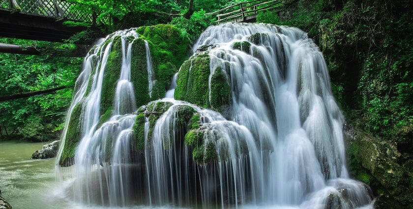 Water Flowing into River in a lush green forest - explore the Vilangad Waterfalls