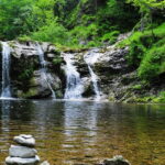 A stunning view of a small waterfall falling down the rocks encircled by lush green trees.