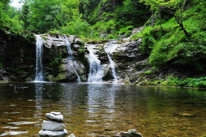 A stunning view of a small waterfall falling down the rocks encircled by lush green trees.