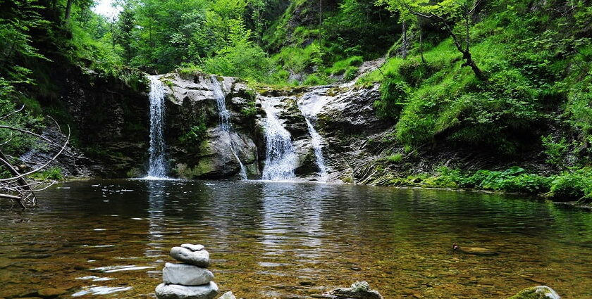 A stunning view of a small waterfall falling down the rocks encircled by lush green trees.