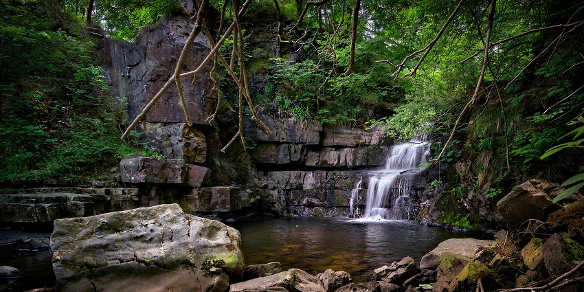 Water cascading through rocks, lush green forest - one of the best Kollam waterfalls