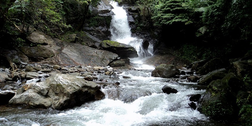 The misty aura of Anjumala Waterfalls and lush green forests are a charming attraction