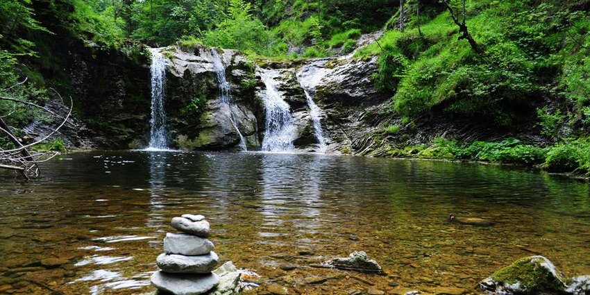 Picturesque view of a waterfall in a forest - Attappadi waterfall in Palakkad district
