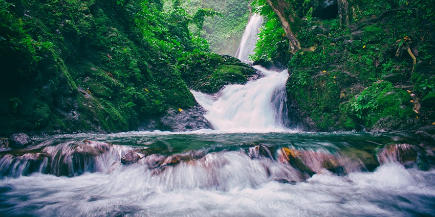 Green Tree Plant, rocks, waterfalls - visit the beautiful Madammakkulam waterfalls