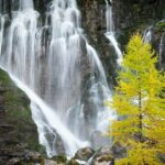 A stunning view of a waterfall flowing freely surrounded by lush greenery during the day.