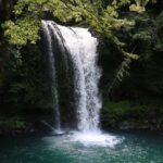 A breathtaking view of a waterfall surrounded by thick green meadows falling into a lake.