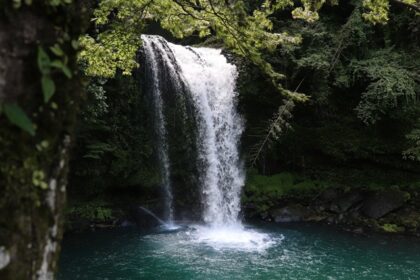 A breathtaking view of a waterfall surrounded by thick green meadows falling into a lake.