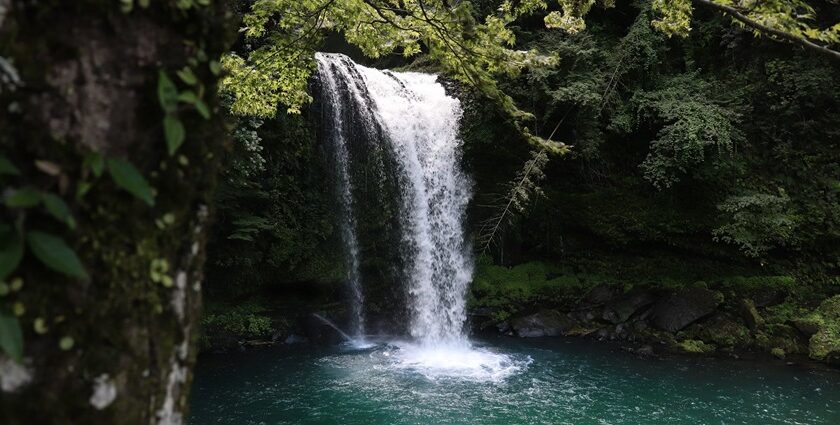 A breathtaking view of a waterfall surrounded by thick green meadows falling into a lake.