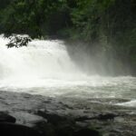 Mesmerising view of a waterfall in Kerala falling down the rocks amidst lush greenery.