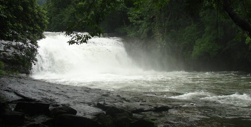 Mesmerising view of a waterfall in Kerala falling down the rocks amidst lush greenery.