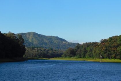 Dive into the tranquil environment at Thekkady Waterfalls for a mesmerising experience