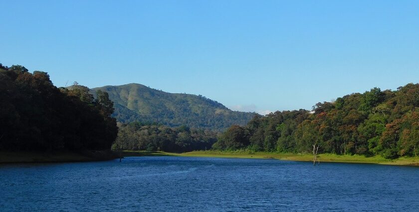 Dive into the tranquil environment at Thekkady Waterfalls for a mesmerising experience