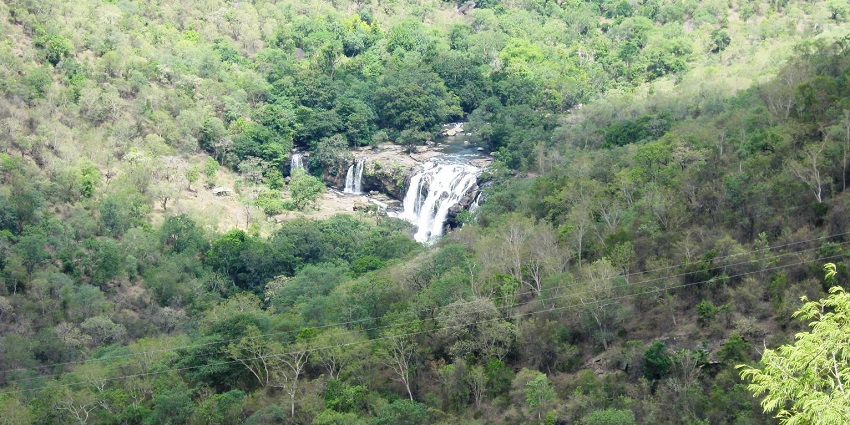 Aerial view of majestic Thunakadavu Waterfalls from a distance amidst the forest