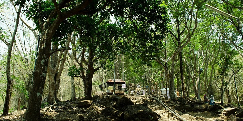 Way to the Malayattoor hill top - one of the most sacred places to visit near Aluva