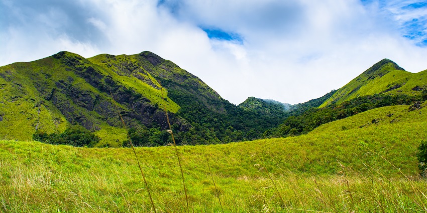 Scenic the green lush meadows, Wayanad is the best places to visit in summer in Kerala