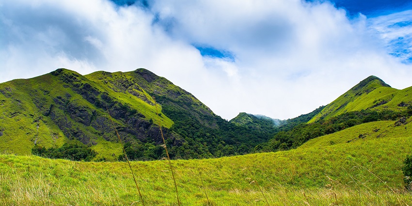 Explore the natural wonders of the calm Wayanad on your next trip to Kerala, India.