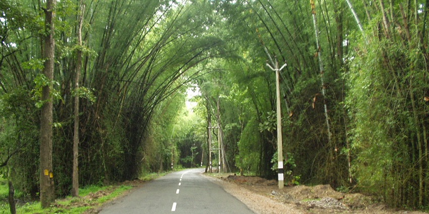 Wayanad serves as a natural treasure to Kerala with its serene landscape and topography.