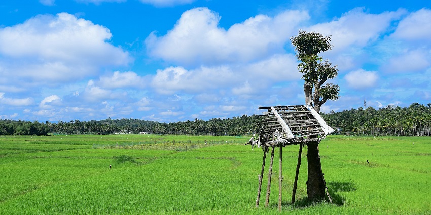 Wayanad is one of the most beautiful Kerala picnic places for all travellers to enjoy.