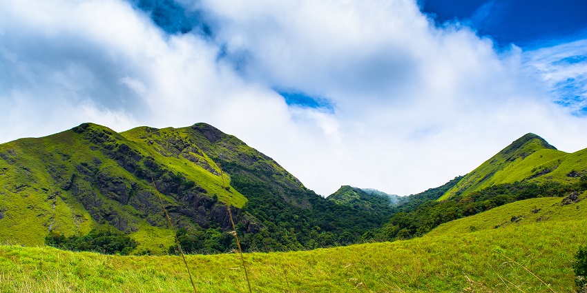 Explore the lush green trails and landscape of Wayanad district of Kerala, India.
